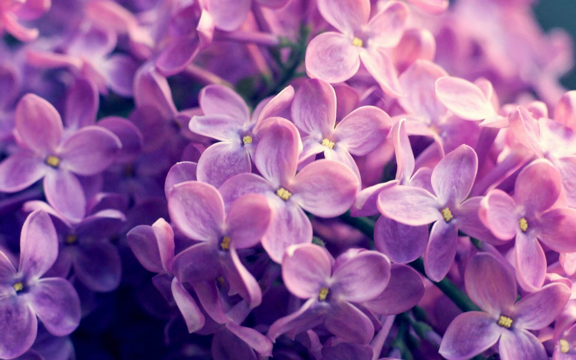 kaiyun官方入口登录-中国足球青训教练培训体系探索形成，专业度不断提升，做足球青训教练的行业怎么样  第1张