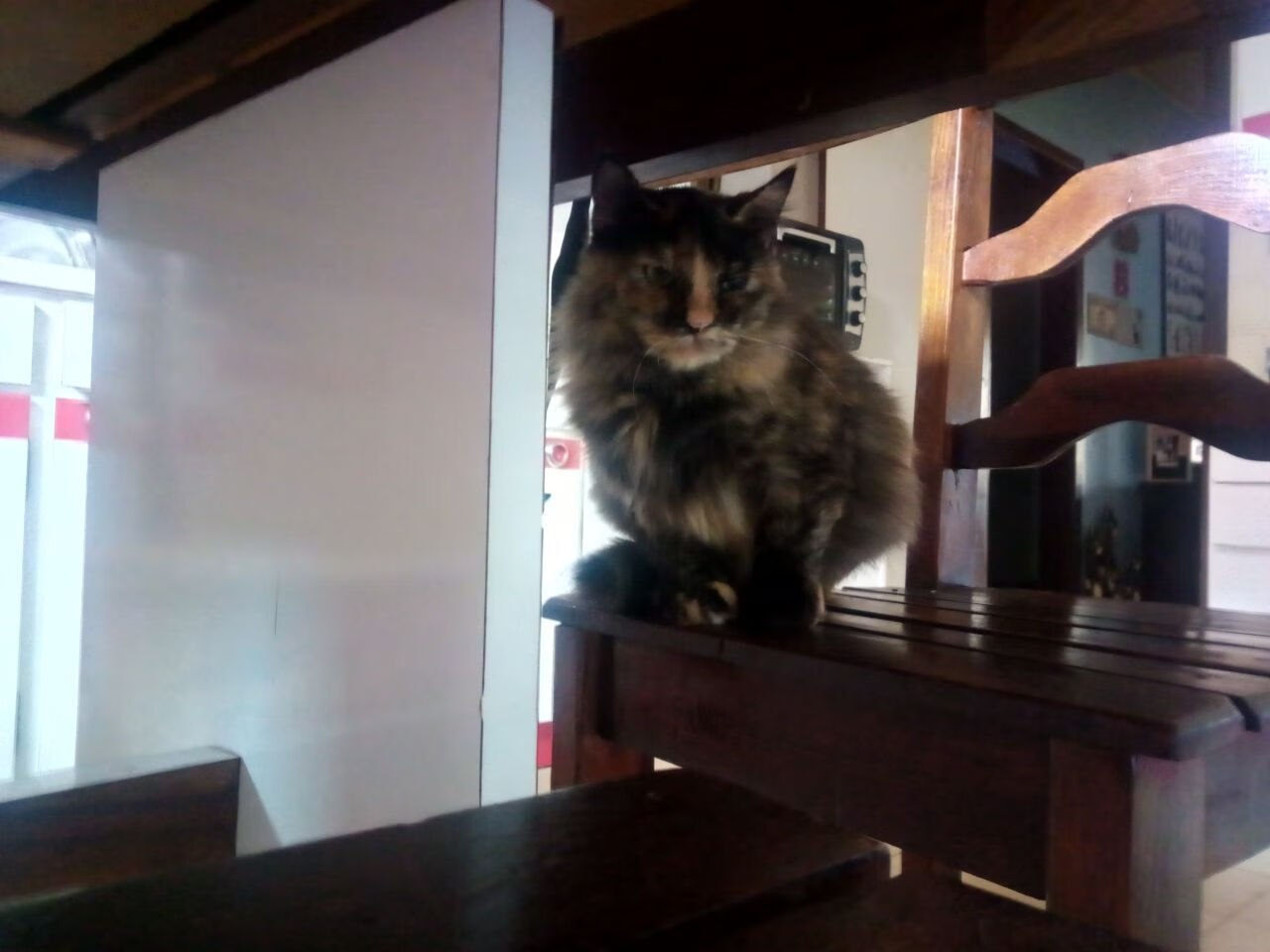 开云彩票-全明星投票：超级球星“激战”中你最支持谁？  第1张