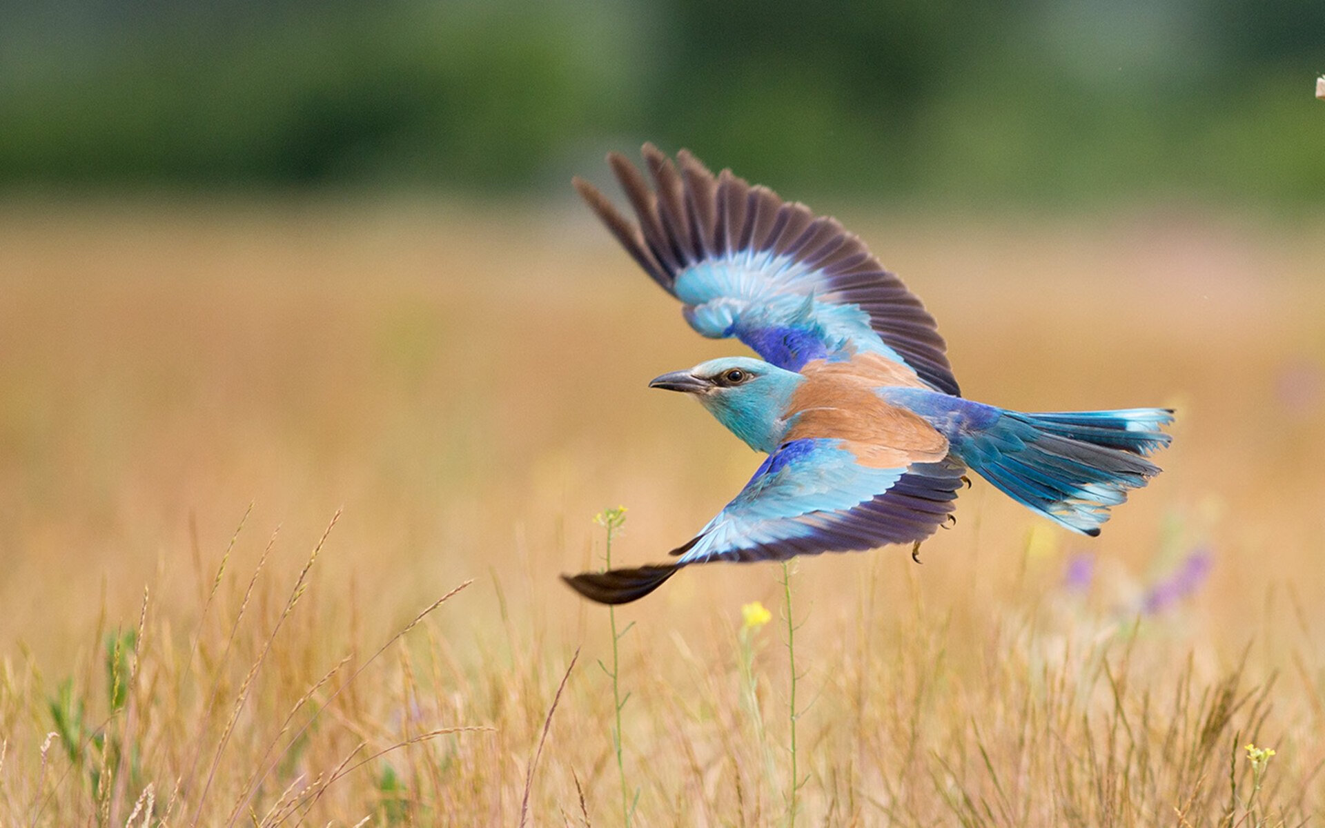 开云娱乐官网-普拉提课程在企业团建中应用，提升员工凝聚力，普拉提公司介绍  第1张