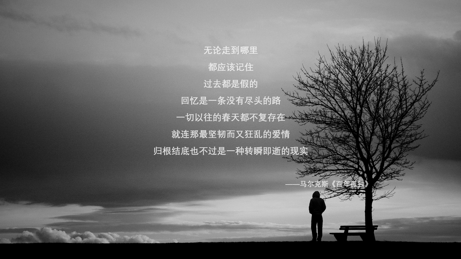 开云官方网站-“英超焦点大战：胜负关系最终冠军归属”，英超战绩