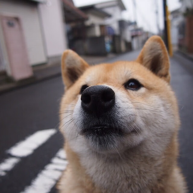开云体育登陆入口-“英超关键战役：球队奋战只为三分”，“英超”
