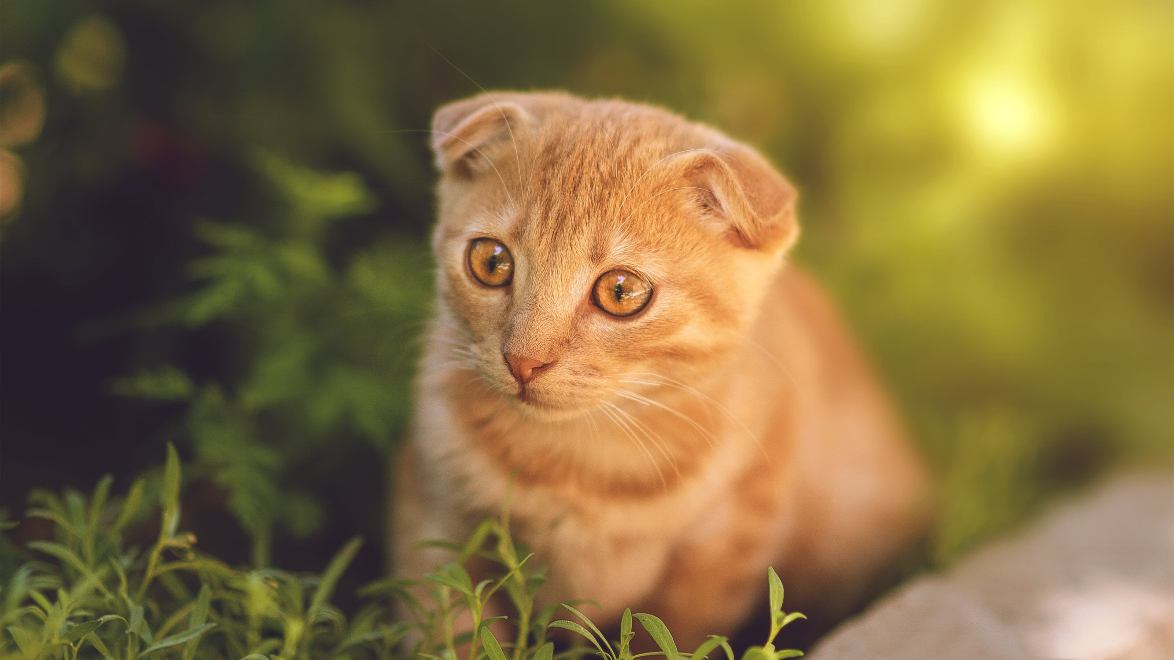 开云网页-【比赛策略】如何布置攻守转换？顶尖运动员的战术揭秘，足球攻守转换的战术要求