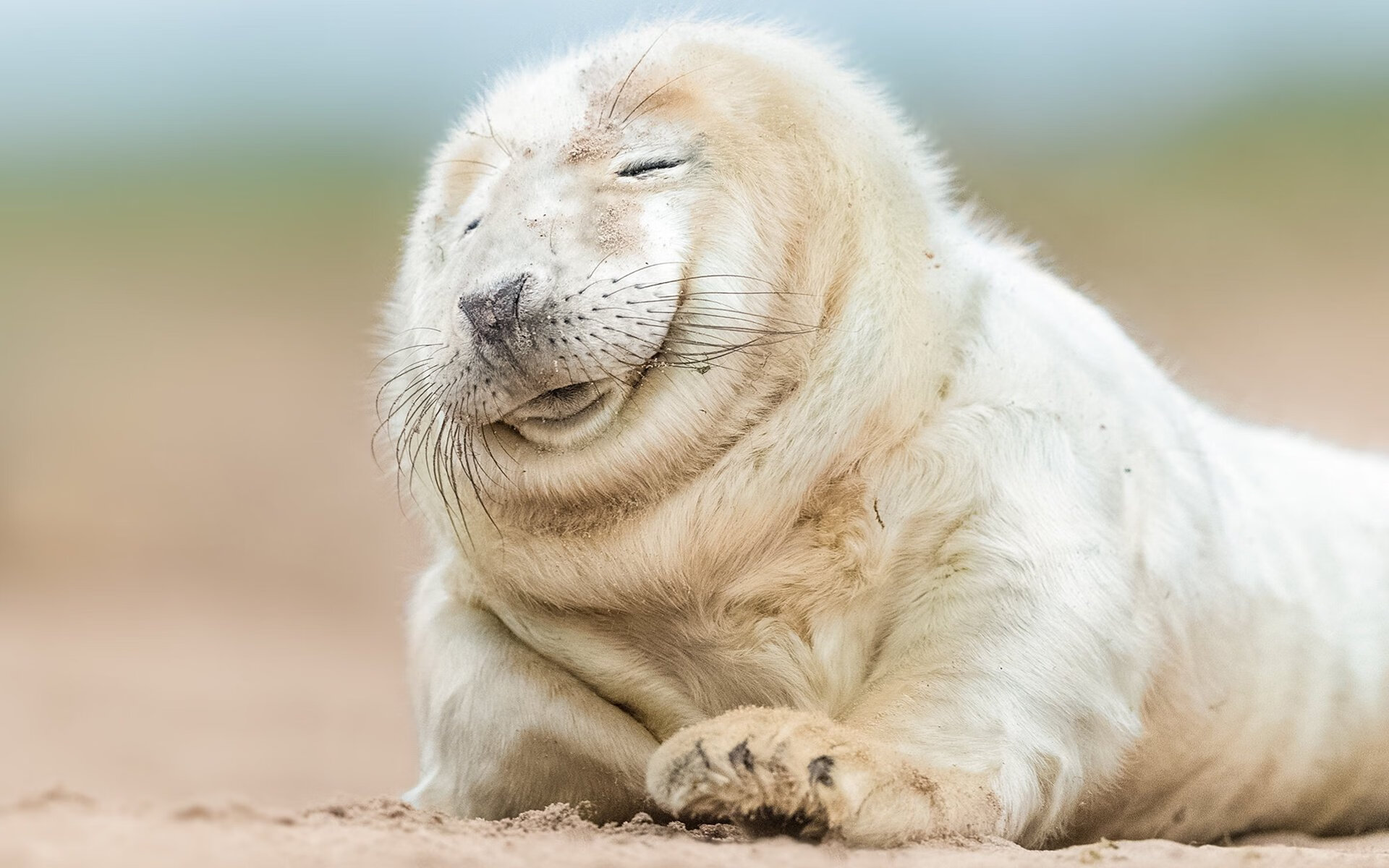 开云体育全站-全国青少年篮球“成长树”夏令营在青海盛大开营，青少年篮球培训训练基地  第1张