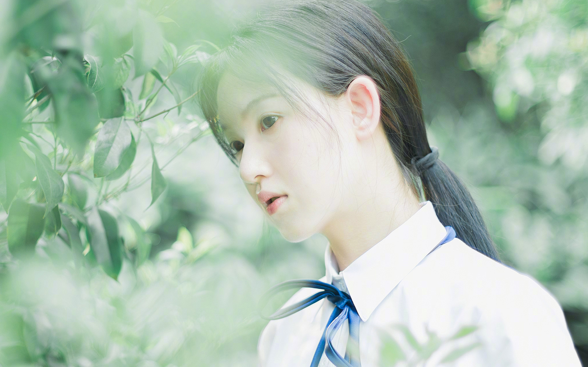 开云体育全站-全国青少年篮球“成长树”夏令营在青海盛大开营，青少年篮球培训训练基地  第3张